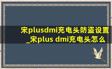 宋plusdmi充电头防盗设置_宋plus dmi充电头怎么锁住